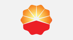 Bet16������