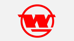 Bet16������